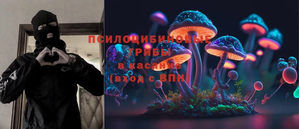 крисы Аркадак