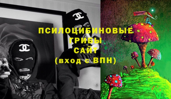 2c-b Арсеньев