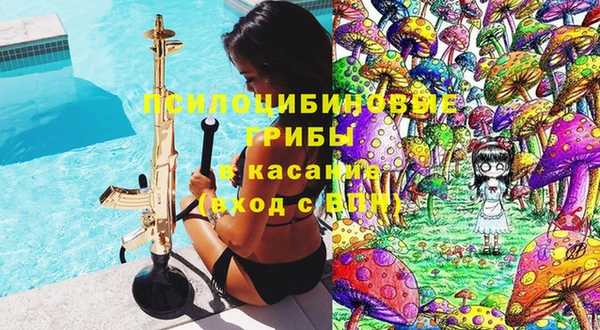 крисы Аркадак